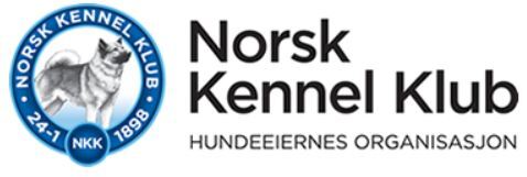 NKK logo