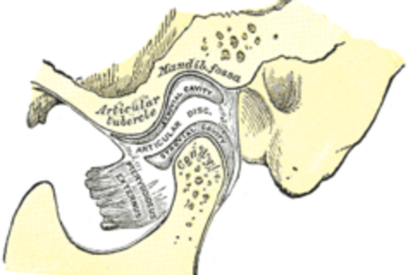 Kjeveledd_tegning_240x180