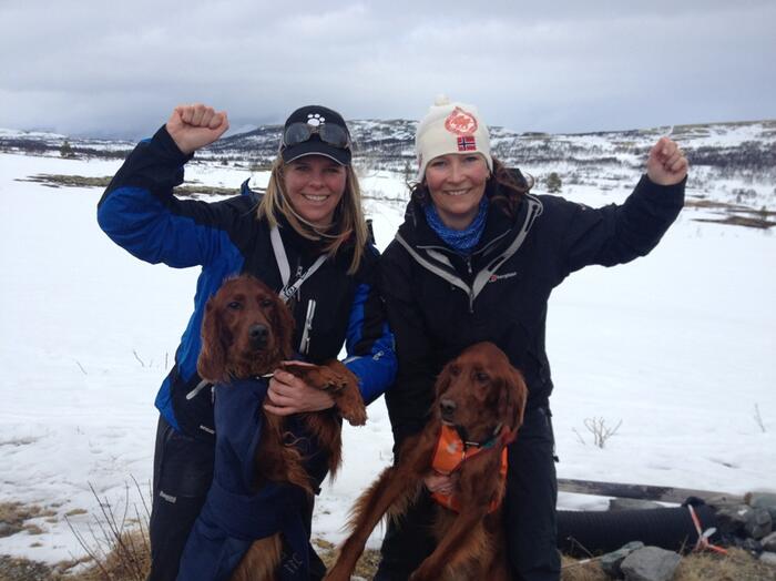 Ballbergkampens Axi og Mette Bjørklund her til t.h. fikk 2 VK m/ResCACIT på Røros Elisabeth Haukaas Bjerke og Bjerkaasens Erte Berte 1.VK og i finalen 25.03. fikk Mette Bjørklund og Balbergkampens Axi 2.VK med res Cacit.
