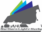 Northern Lights Husky ved Trine Lyrek i Alta
