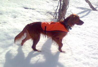 Neadalens Super-Mira_500x341