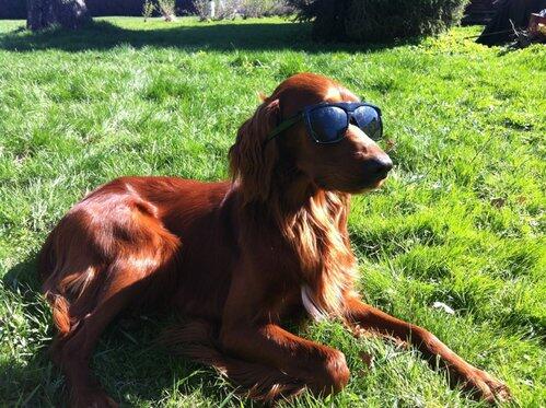 Red Garlic\\\\\\\'s Pralin_500x373