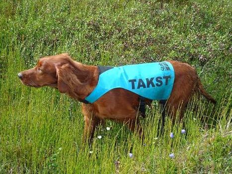 My Hunter Zana_500x375