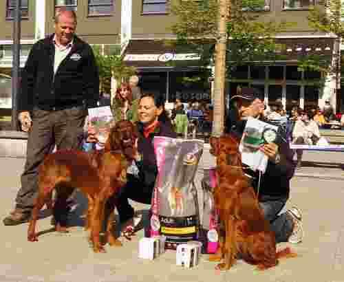 2012vinnerne_500x410