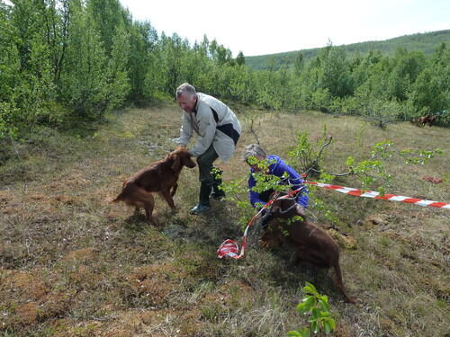 2012 sprintvinnere_500x375