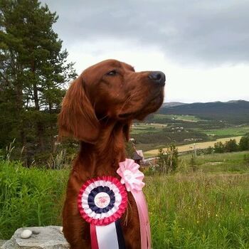 Red Garlic\\\'s Red Rojo Mojo