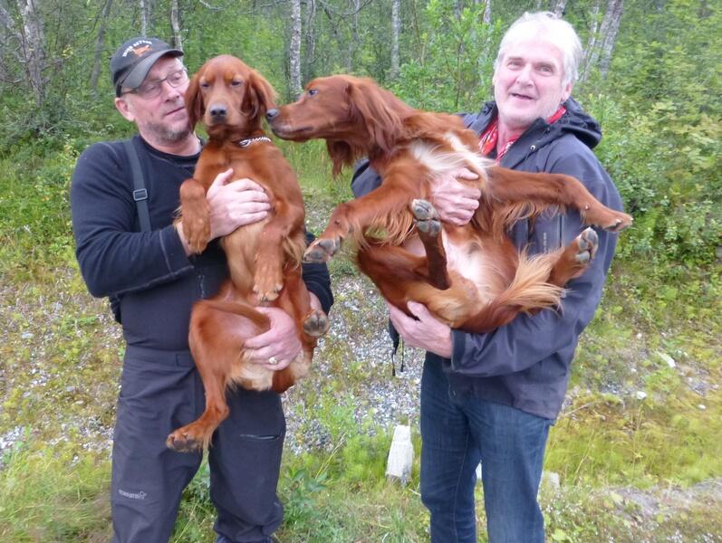 Rune Bendiksen med Blålappens Alfred og Kalle Hartvigsen med Irskesjøens Ponto Rune Bendiksen med Blålappens Alfred og Kalle Hartvigsen med Irskesjøens Ponto