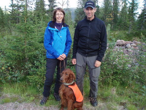 Odin skog_500x375