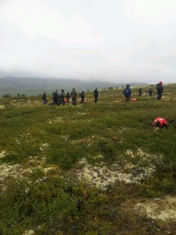 NM Lag 2012H fjellet