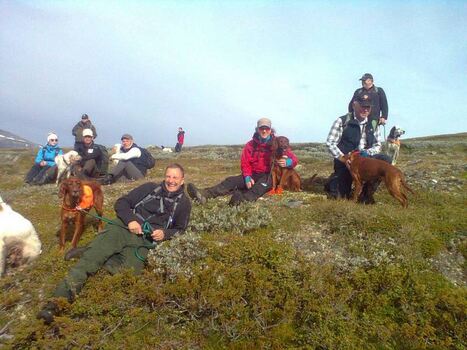 NM 2012H Knutsø Syd VK Semi lunsj