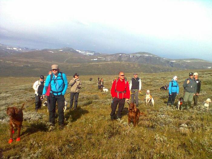 Knutsø Syd (Foto:Tore Lie) Knutsø Syd (Foto:Tore Lie)