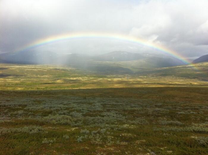 NM finale 2012 regnbue