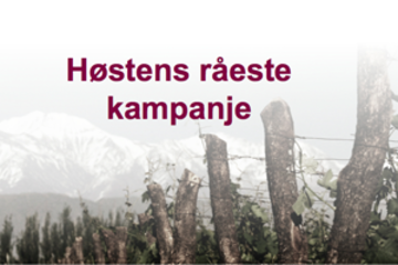 Hostens_roeste-300