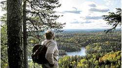 Sverre M. Fjelstad skuer utover nasjonalparken