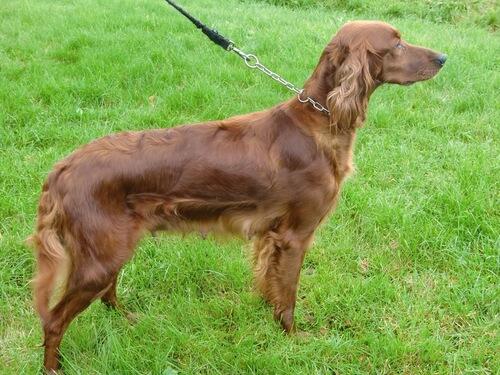 Hadseløya`s ToraLoo II