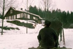 Magnus Dammen med hest og slede på Bøvelstad i 1974.