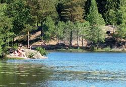 Ulsrudvann en varm sommerdag