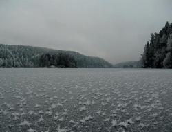 Isblomster på Lutvann