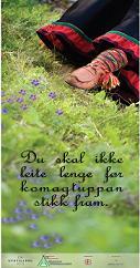 Komagtuppan stikk fram- fotoutstilling