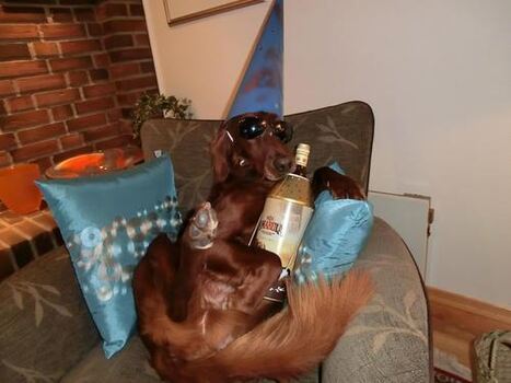 its partytime 002_500x375