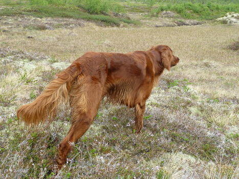 2012 Mikkelstand_500x375