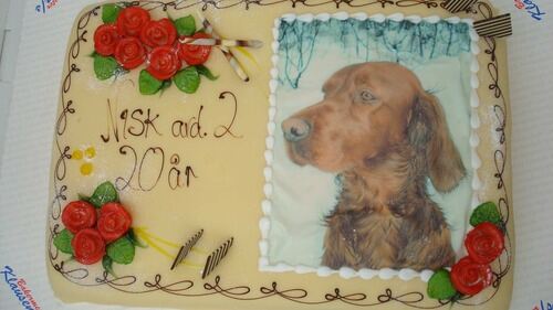 Jubileumskake_500x500