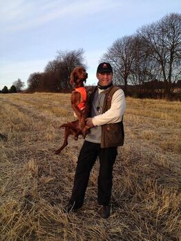 Imingens LK Non Stop_500x667