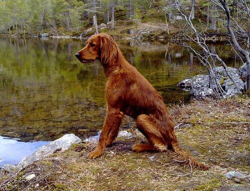 Granasjøens EA Saiva_500x383