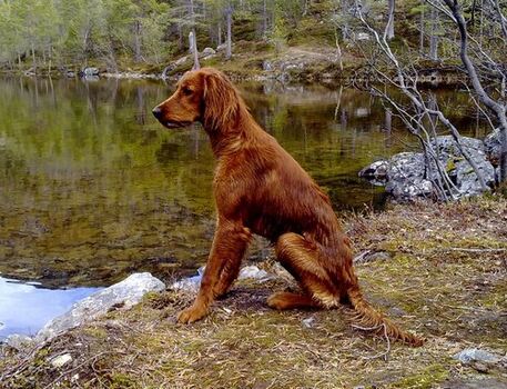 Granasjøens EA Saiva_500x383