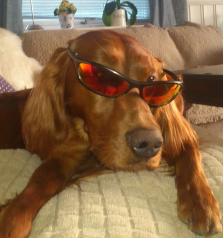 popcorn brille