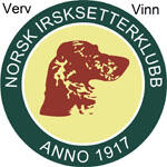 NISK - litebn logo