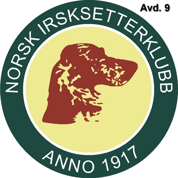 NISK Logo Avd 9