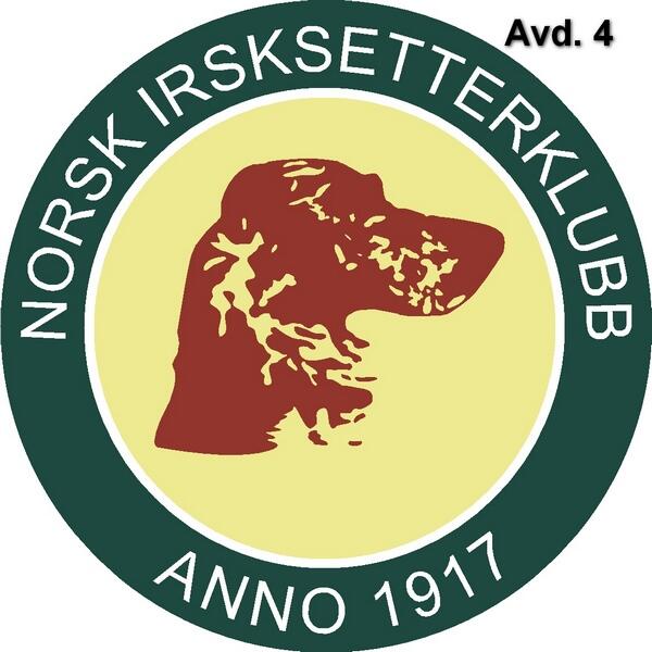 NISK Logo Avd 4