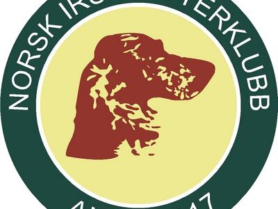 NISK Logo Avd 4