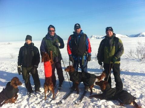 NM Vinter 2013 lag