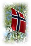 Norske flagg_100x150