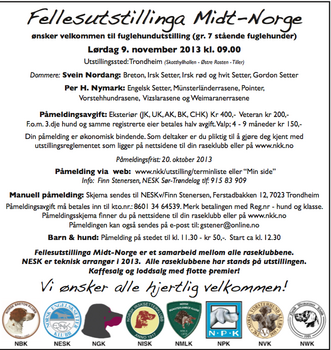 Fellesutstillinga Midt-Norge 2013