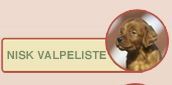 Valpeliste
