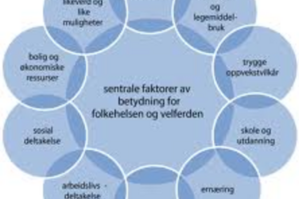 Folkehelse_skjematisk