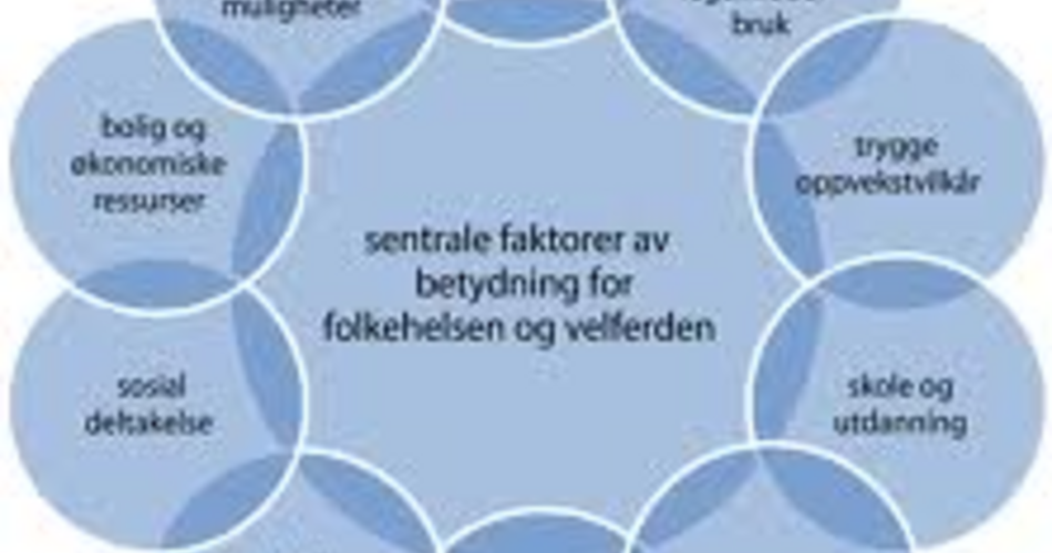 Folkehelse_skjematisk