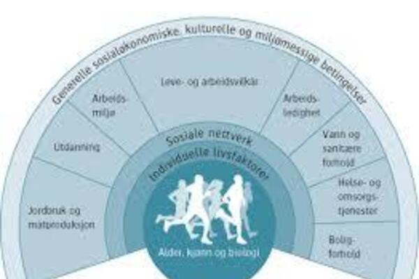 folkehelse_skjematisk