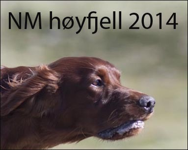 NM høyfjell