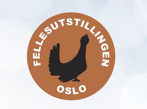 Fellesutstilling Oslo
