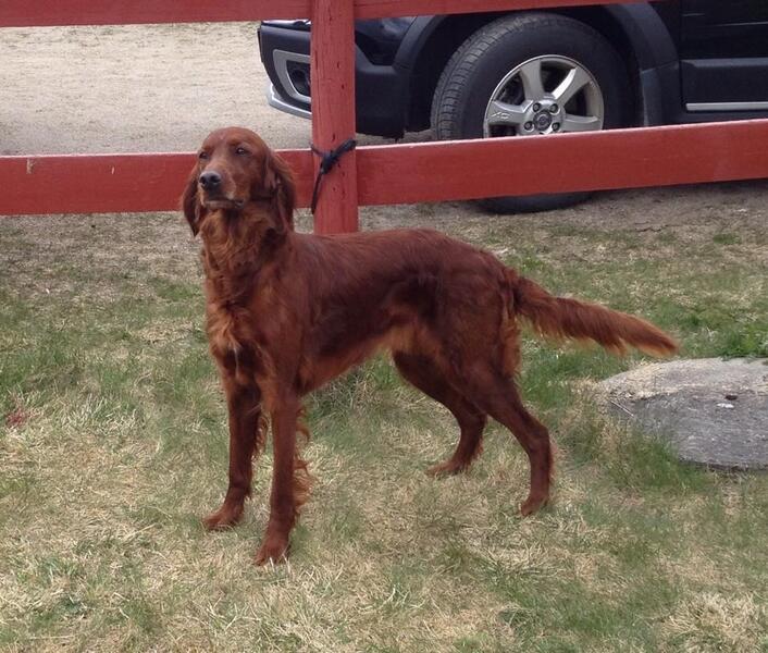 Fellesutstillingen 2014