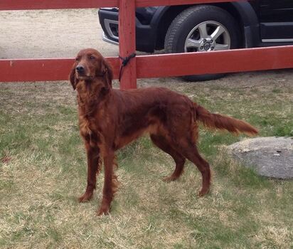 Fellesutstillingen 2014