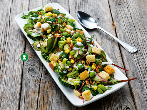 Salatgrs-med-soyabonner-500