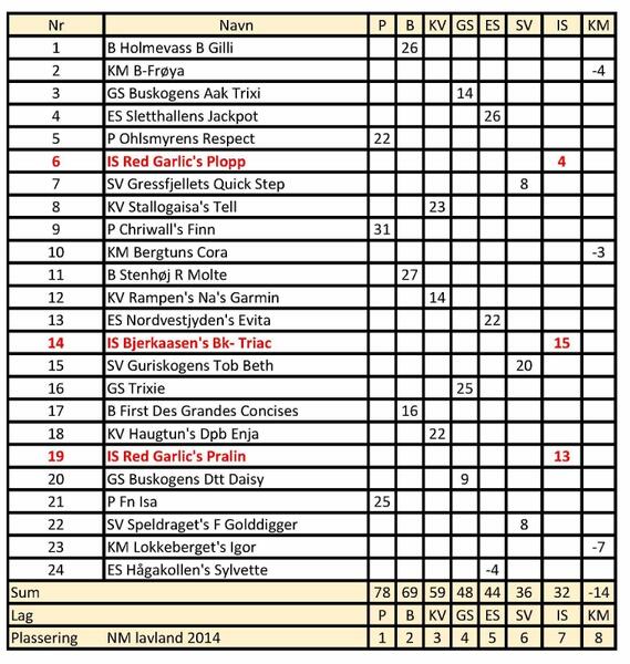 NM lag LL 2014 med poeng (758x800)