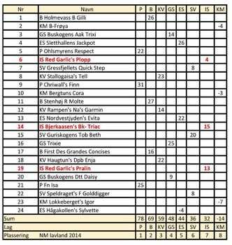 NM lag LL 2014 med poeng (758x800)