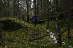 Ned på mosegrodde lier fra Bjørntjernåsen.