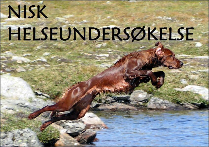 MINOLTA DIGITAL CAMERA